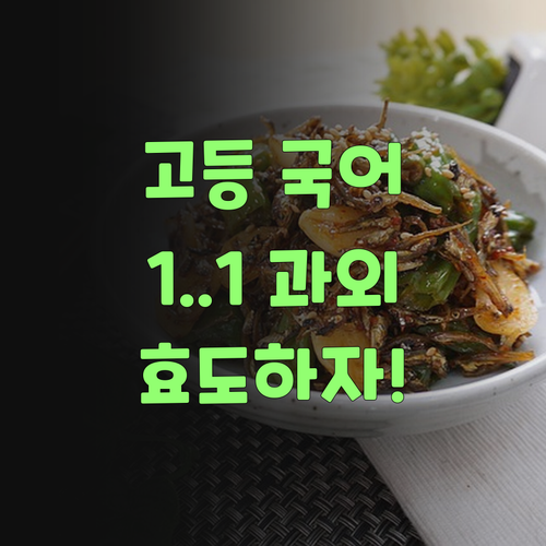 고등 국어, 이젠 걱정 끗! 퍼스널멘토 1:1 과외로 효도혀불자..