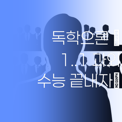 비싼 학원 No! 🚫 퍼스널멘토, 가성비 갑👍 1:1 화상과외로 수능 끝..