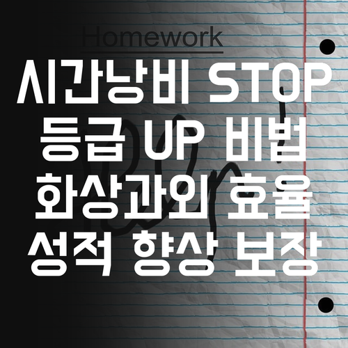 시간낭비는 이제 그만! 효율적인 화상과외로 등급 UP!