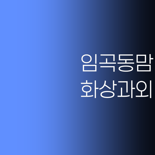 임곡동 학부모님덜, 비싼 학원 말고 1:1 화상과외로 싹 올려보랑께! ..