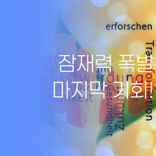 내 아이 잠재력 폭발! 퍼스널멘토, 마지막 기회 잡으세요!