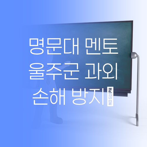 명문대 멘토가 콕! 찍어주는 울주군 맞춤 과외, 안 들으면 손해😜
