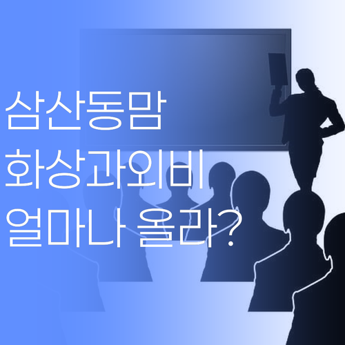 부평 삼산동 학부모님들! 1:1 화상과외, 솔직히 얼마나 오르는지 궁금하지?🤫