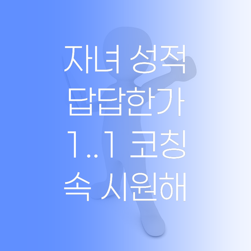 자녀 성적, 답답하신가요? 명문대 코치가 1:1 맞춤 솔루션 제시! 속 시원~합니다..