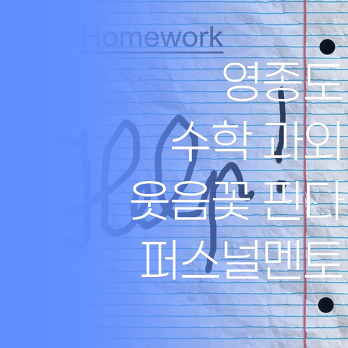 영종동 슨상님덜! 퍼스널멘토 화상과외믄 우리 애덜 수학 웃음꽃 핀다요! ..