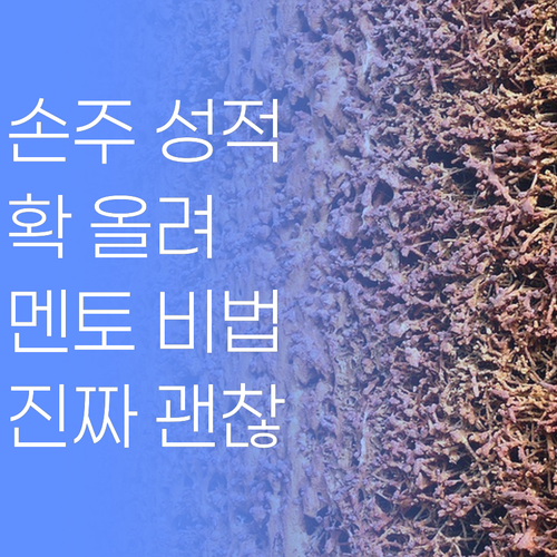 아이고! 손주 성적, 퍼스널멘토로 확 올려분께.. 진짜 괜찮당께..