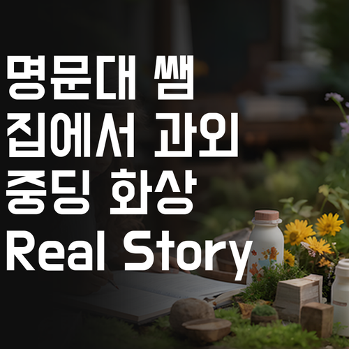 집에서 명문대 멘토 만나기?! 중딩 화상과외 Real Story!