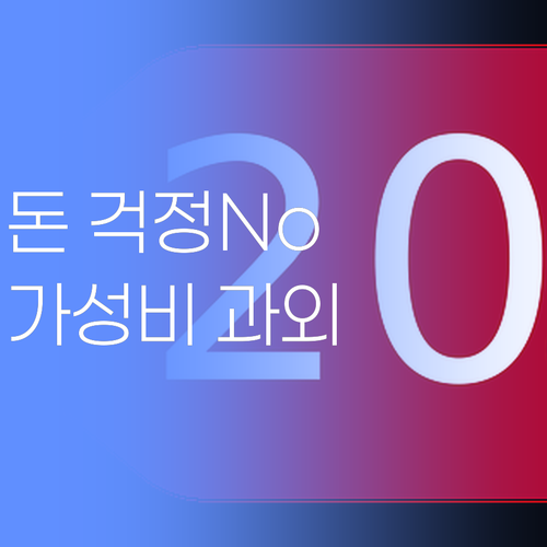 공부, 이제 돈 걱정 없이! 30대 멘토의 가성비 1:1 과외, 어때유?!
