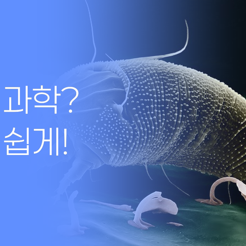 애들아 과학, 왜케 어려워?! 멘토쌤이 꿀팁 대방출한다!🤫