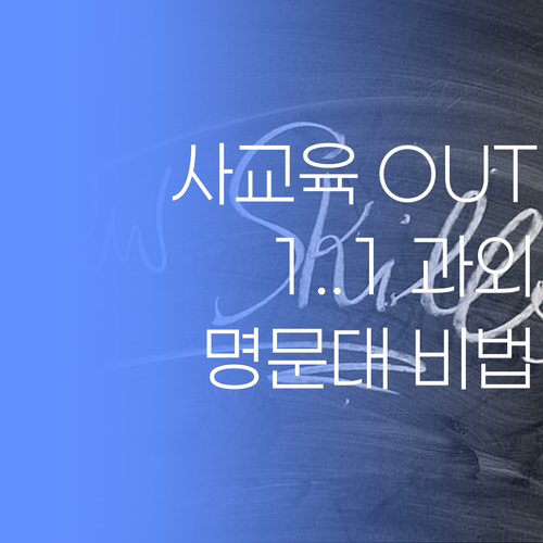 사교육비 아웃! 명문대 코치가 전수하는 1:1 화상 과외 비법..