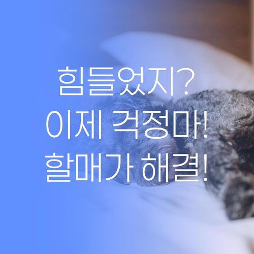 혼자 끙끙 앓지 말어! 할매가 날개 달아줄 것이여..