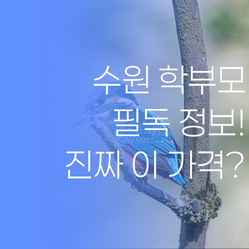 수원 학부모 필독! 1:1 멘토링, 이 가격 실화? 50대 멘토의 솔직 후기..