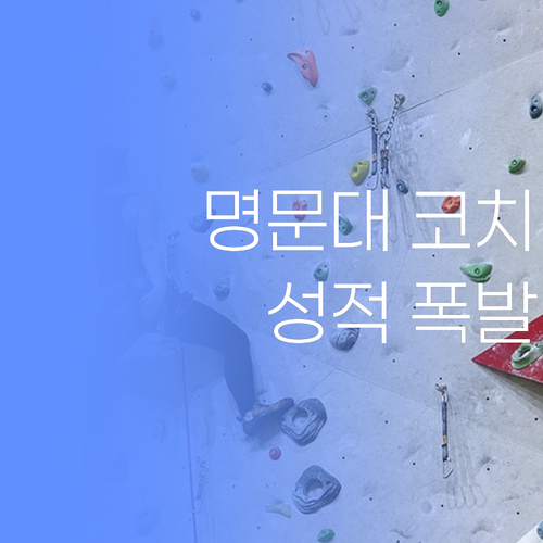 명문대 코치의 1:1 과외 비법! 팔달구 학생, 성적 폭발 보장..