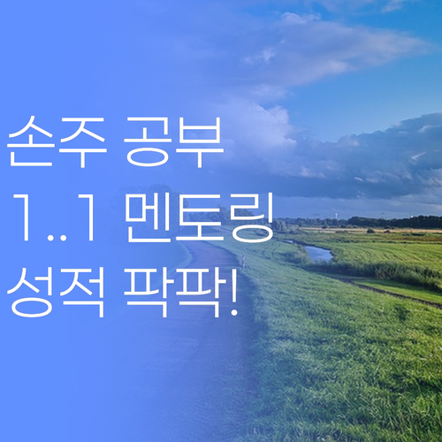 우리 손주 공부, 1:1 퍼스널멘토링으로 확 바꿔볼까? 성적 팍팍 올려준당께..