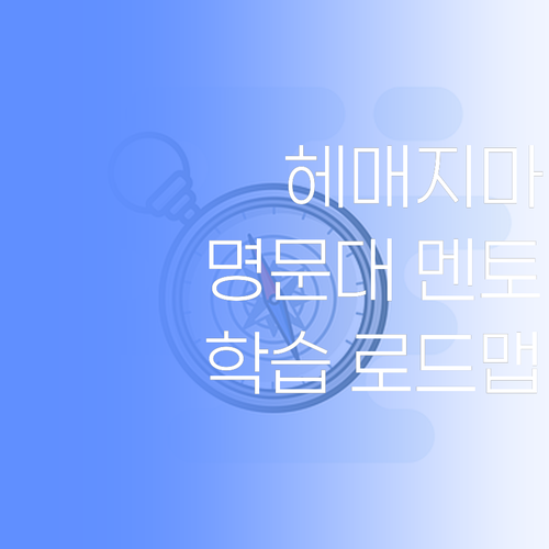 더 이상 헤매지 마세요! 명문대 졸업 멘토의 맞춤 학습 로드맵! 🚀