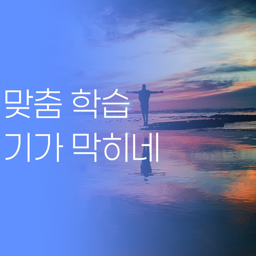 수원 팔달구 학부모 필독! 퍼스널멘토, 내 아이 1:1 맞춤 학습.. 어메 기가 막히네!