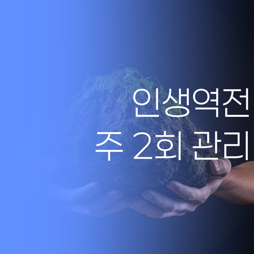 맞춤 관리로 인생 역전! 이 쌤 믿고 주 2회 딱 붙어 따라오이소..