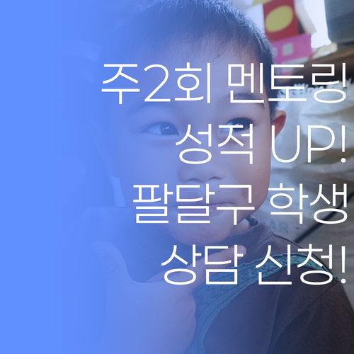 주 2회 멘토링으로 성적 UP! 팔달구 학생, 지금 바로 상담 신청하세요!