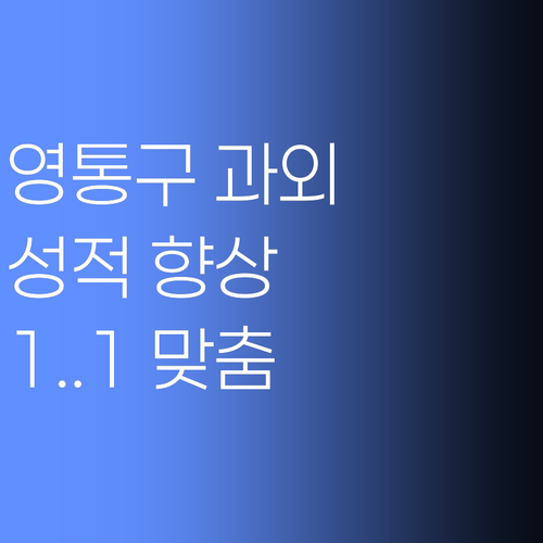 영통구 학생, 1:1 맞춤 과외가 답이다! 성적 향상 비결, 지금 바로 경험해보세요.. 자신있습니다..