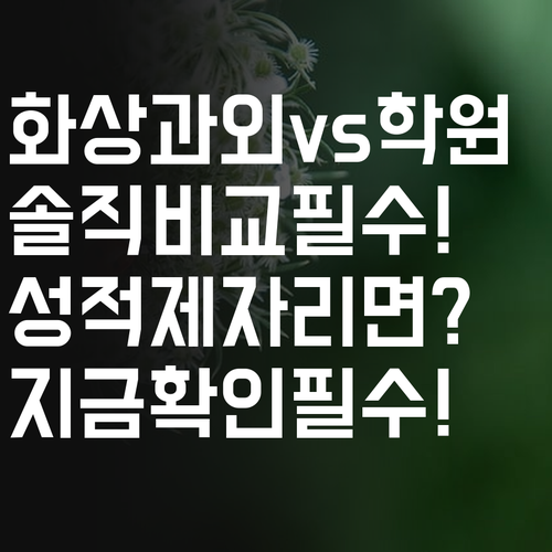 화상과외 vs 학원 솔직 비교, 성적 제자리인 아이라면 꼭 확인하세요